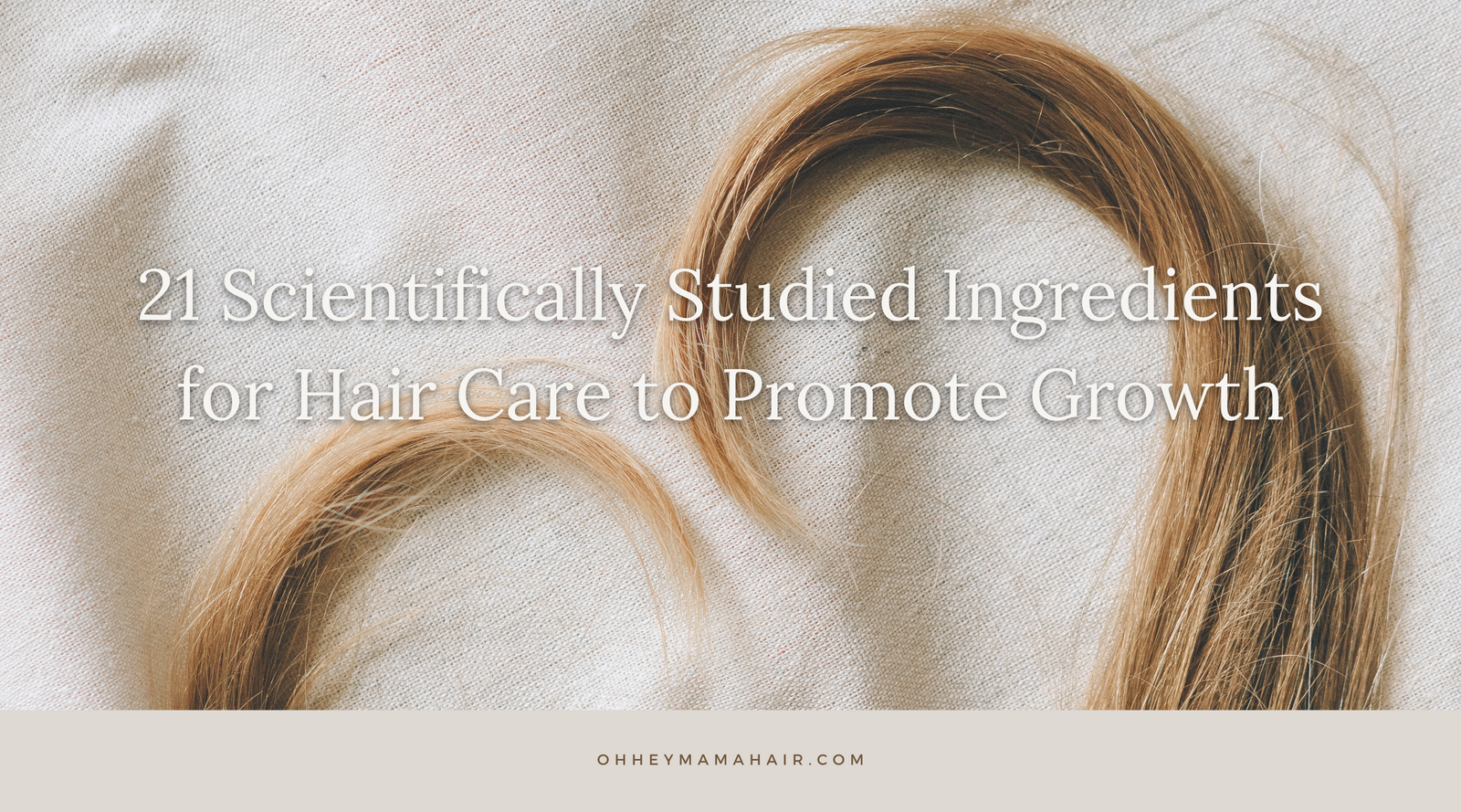 21 Scientifically Studied Ingredients for Hair Care to Promote Hair Growth